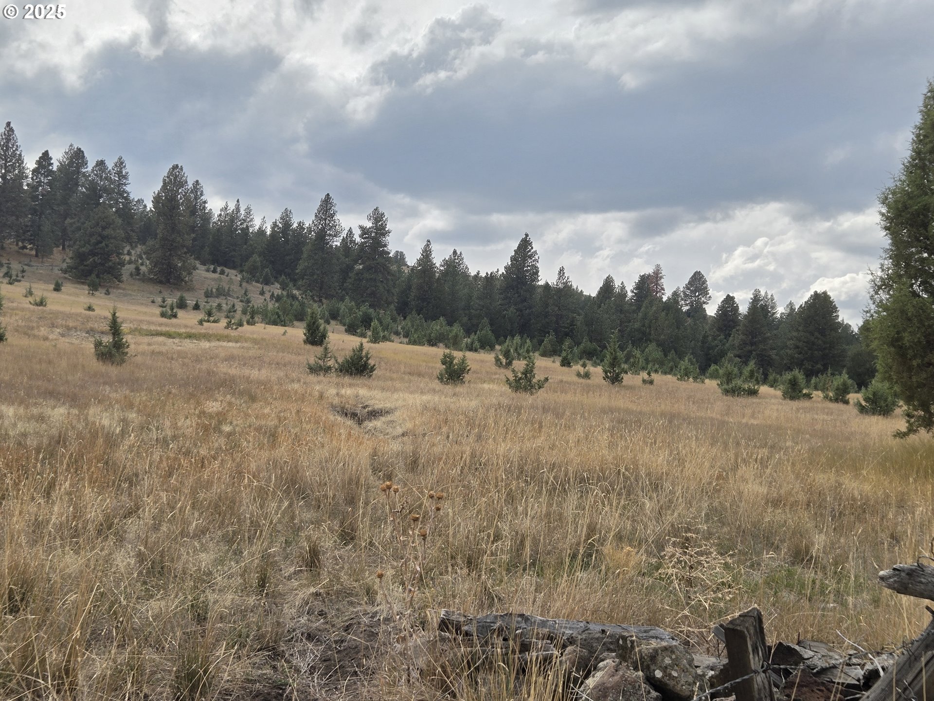 North Fork Road Long Creek, OR 97856 - Photo 4 of 20 a view of outdoor space with green field and trees