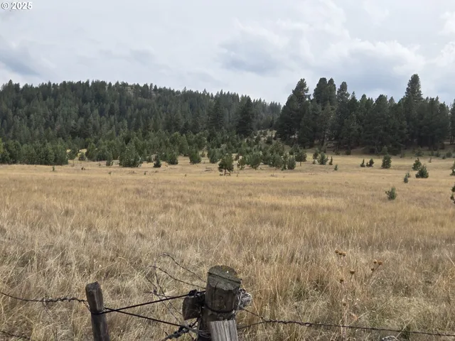 a view of open space with green field and trees