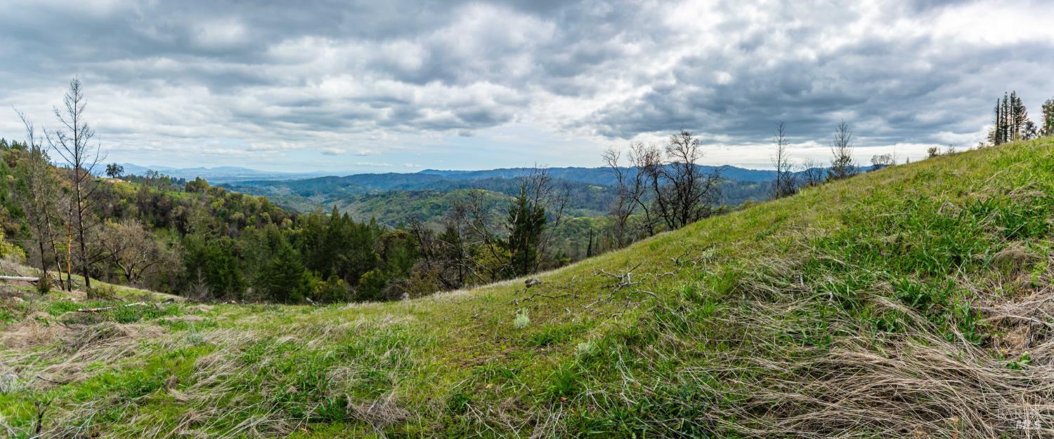 1401 Big Ridge Road Healdsburg, CA 95448 - Photo 61 of 86