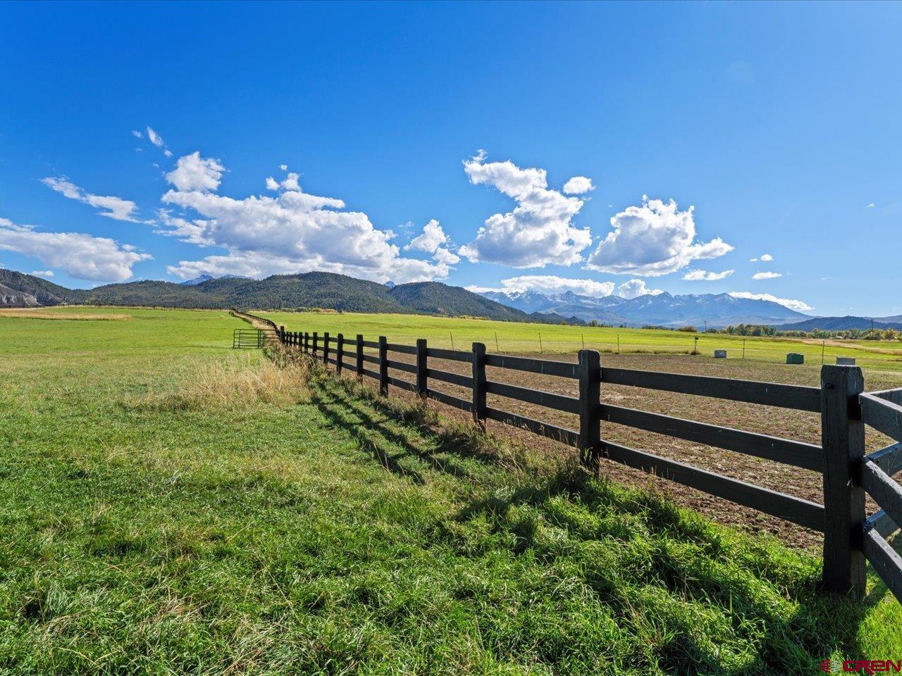 3232 County Road 24 Ridgway, CO 81432 - Photo 13 of 43