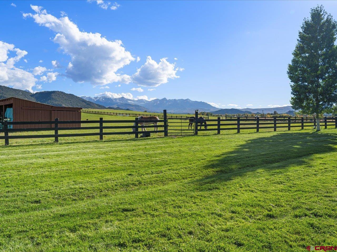 3232 County Road 24 Ridgway, CO 81432 - Photo 4 of 43