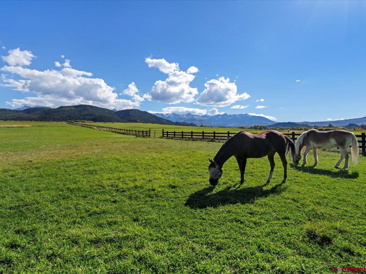 3232 County Road 24 Ridgway, CO 81432 - Photo 43 of 43
