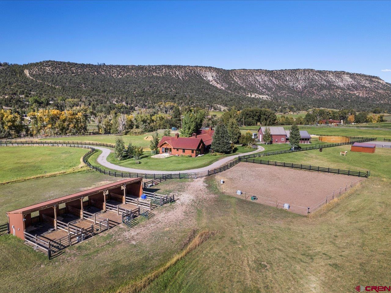 3232 County Road 24 Ridgway, CO 81432 - Photo 6 of 43