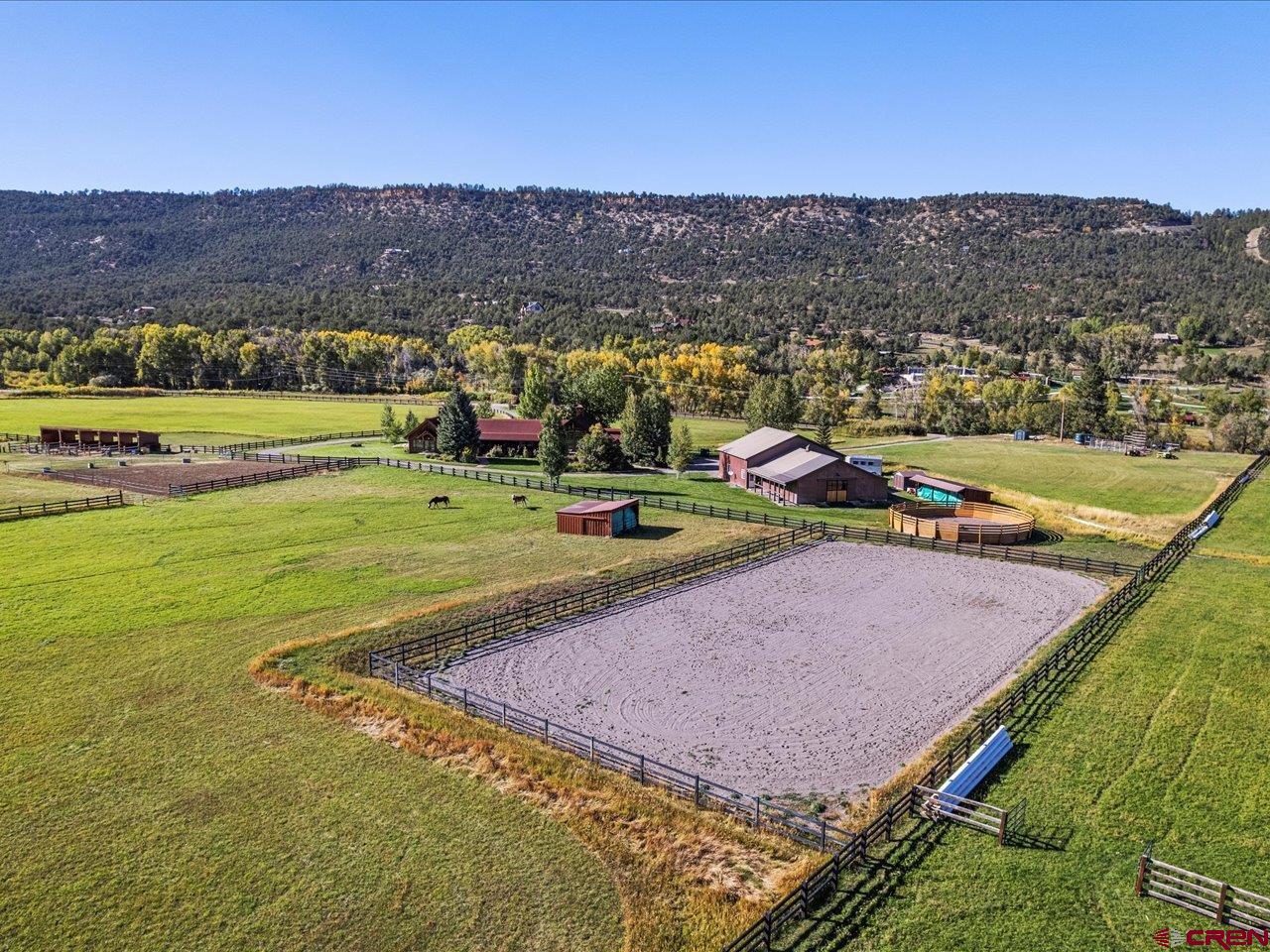 3232 County Road 24 Ridgway, CO 81432 - Photo 8 of 43