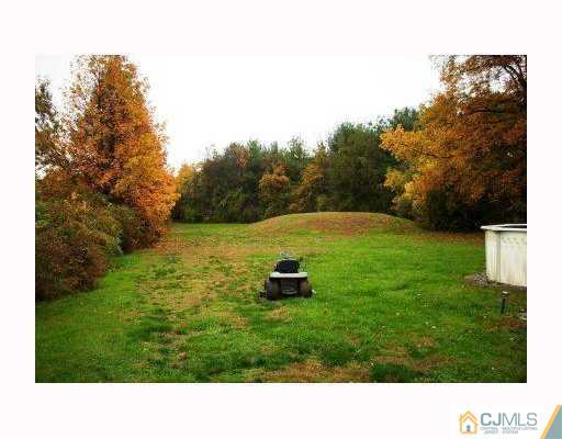 0 Freehold Road Manalapan, NJ 07726 - Photo 7 of 10 a black and white photo of a garden