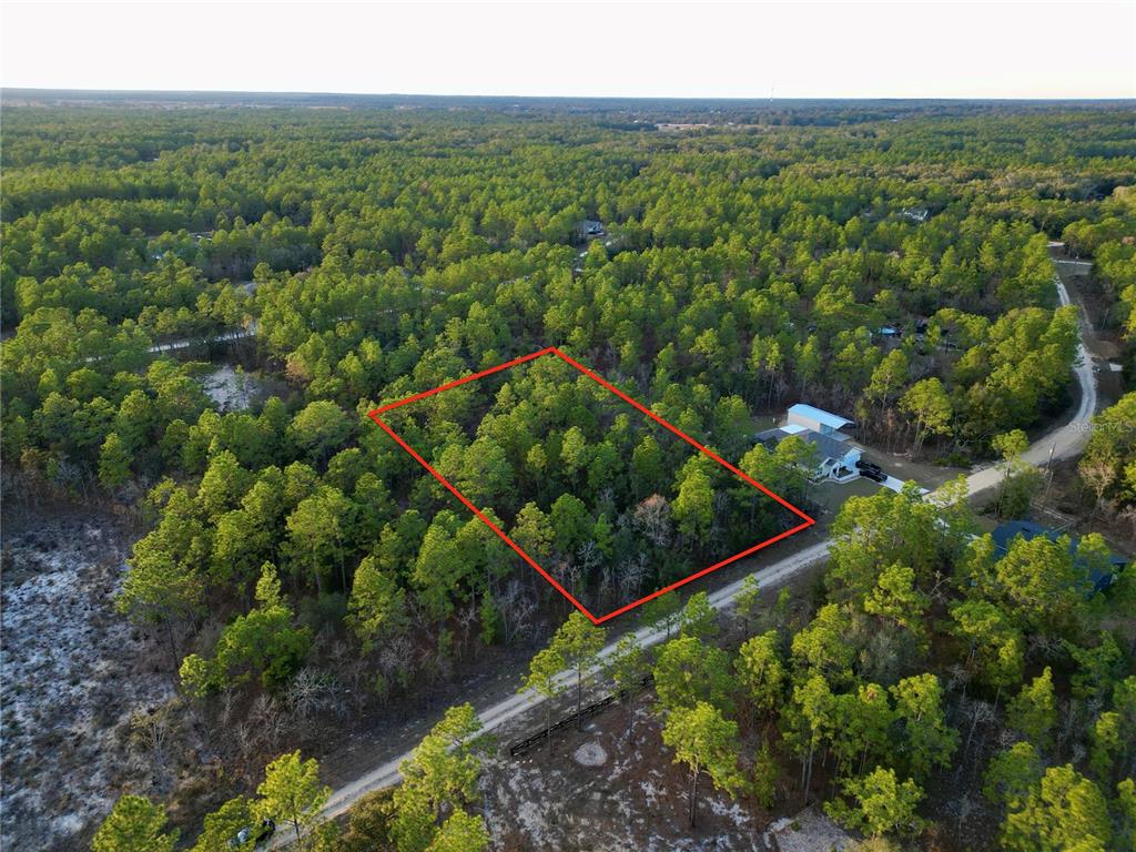 Southwest 124th Ter Road Ocala, FL 34481 - Photo 3 of 11
