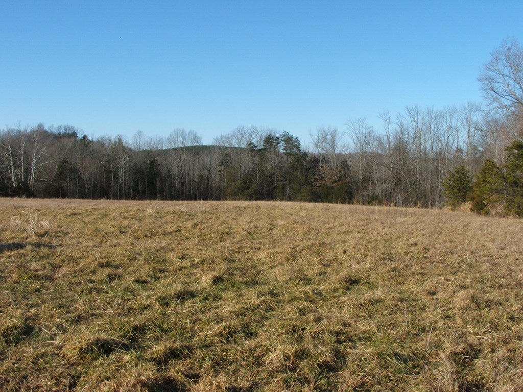 632 Schultz Mill Rd Green Meherrin, VA 23954 - Photo 2 of 17 Gallery Image 2