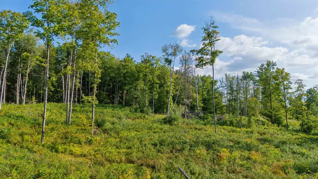 $235,000 | 0 Wildlife Road, White River Junction, VT 05001
