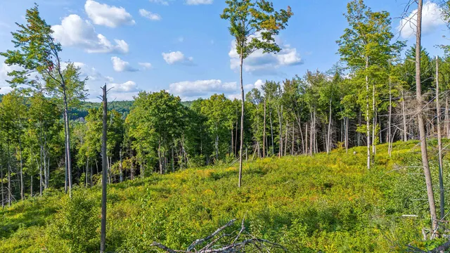 $235,000 | 0 Wildlife Road, White River Junction, VT 05001