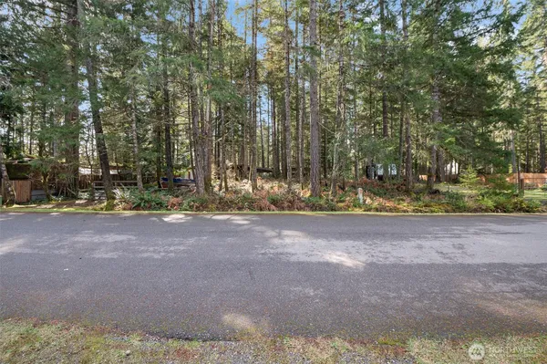 a view of a garden with plants