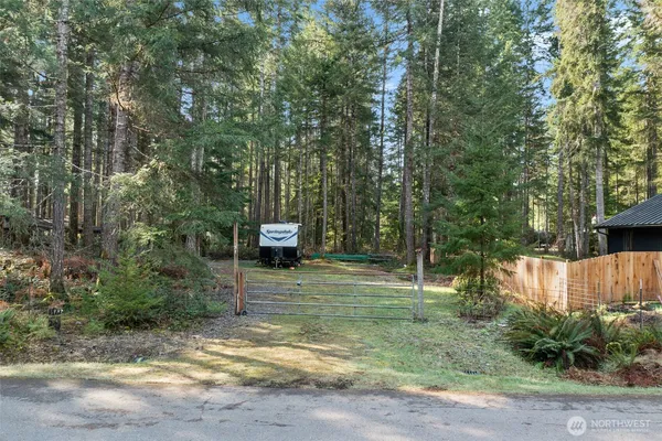 a view of a backyard with trees