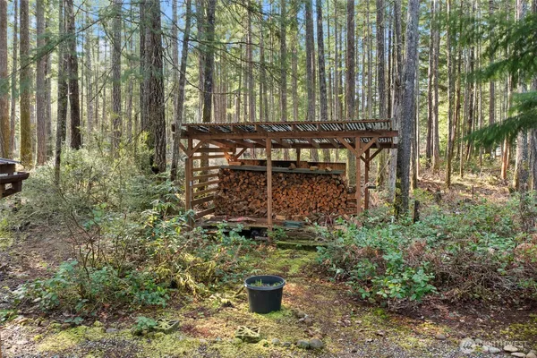 a view of a park with bench and trees