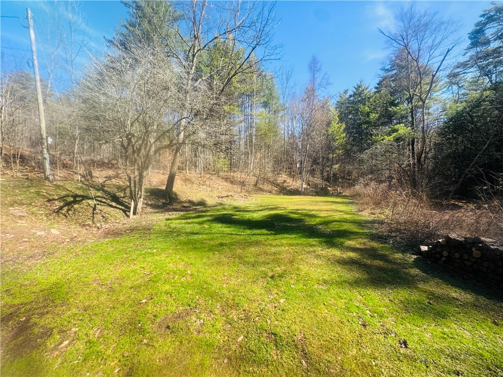 656 Grange Hall Road Franklin, NY 13820 - Photo 36 of 47