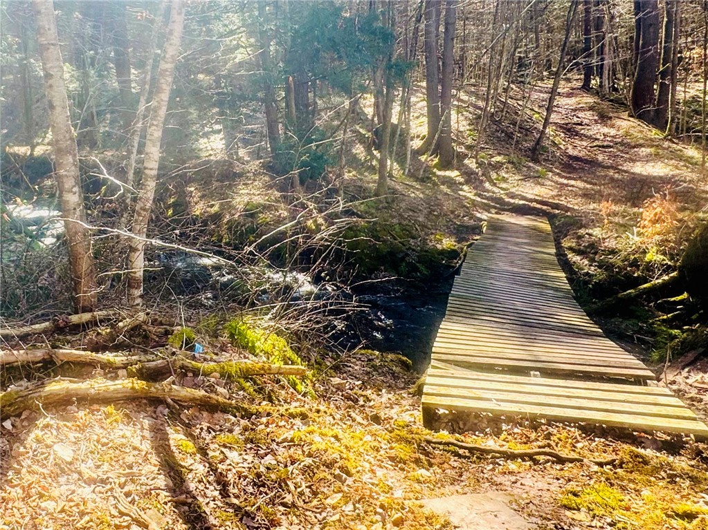 656 Grange Hall Road Franklin, NY 13820 - Photo 38 of 47