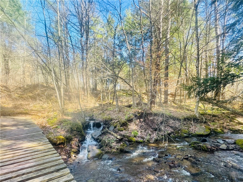 656 Grange Hall Road Franklin, NY 13820 - Photo 41 of 47