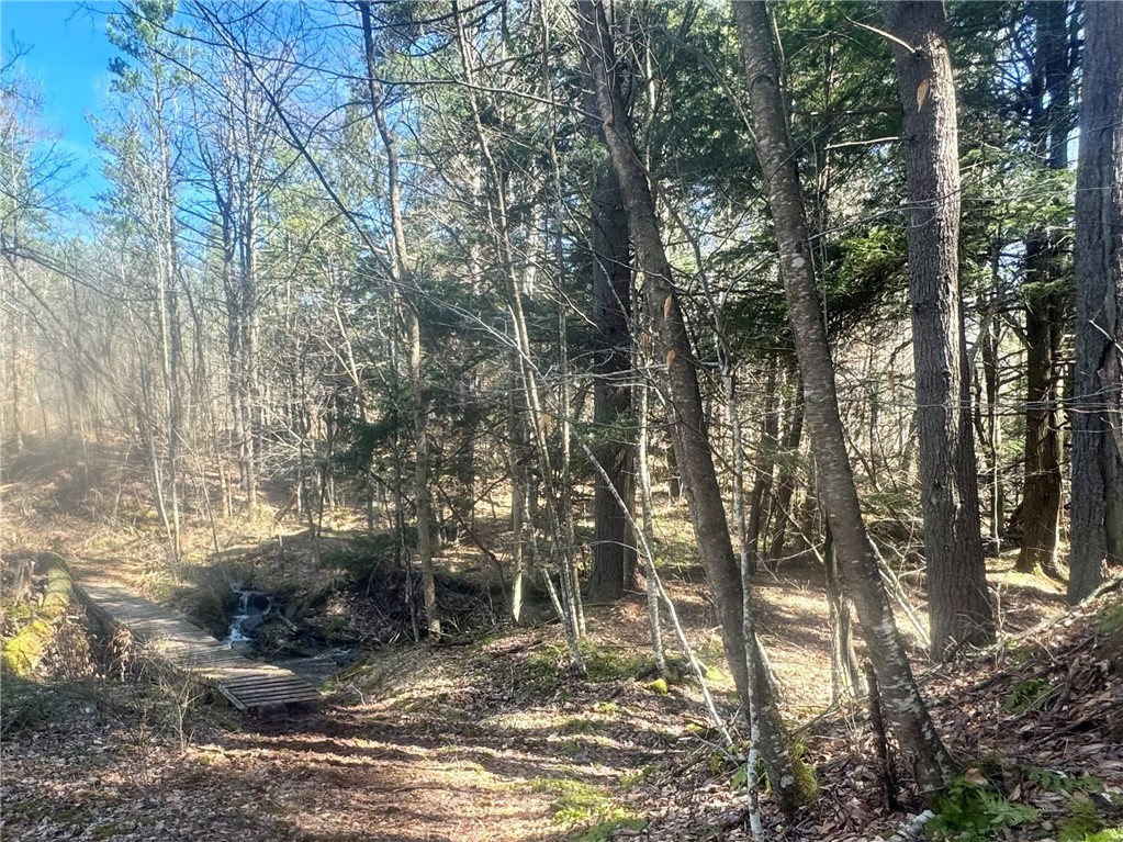 656 Grange Hall Road Franklin, NY 13820 - Photo 44 of 47