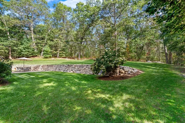 a view of a garden with a bench