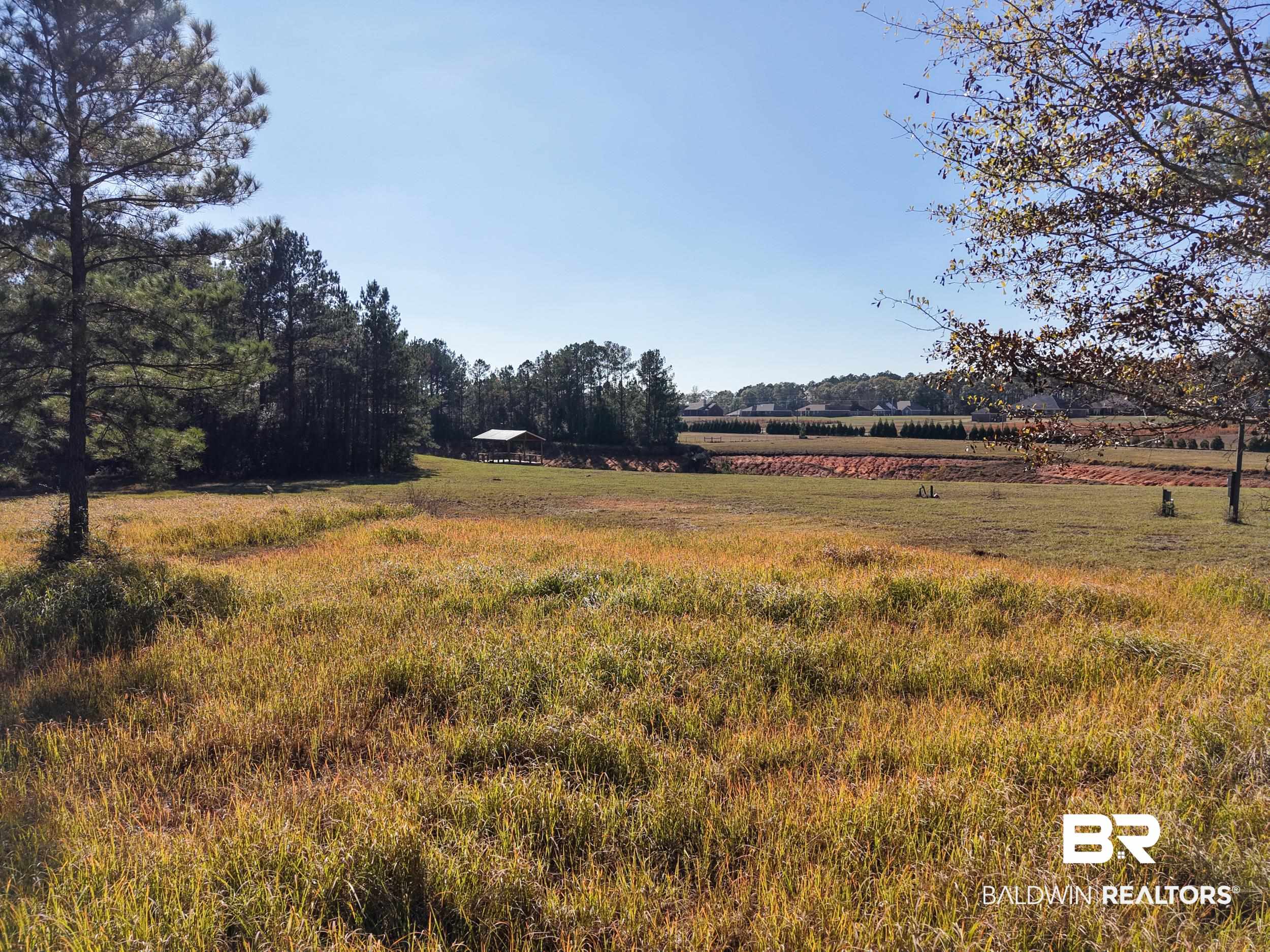 0 Stokley Court Atmore, AL 36502 - Photo 19 of 22 View of yard with a view of countryside