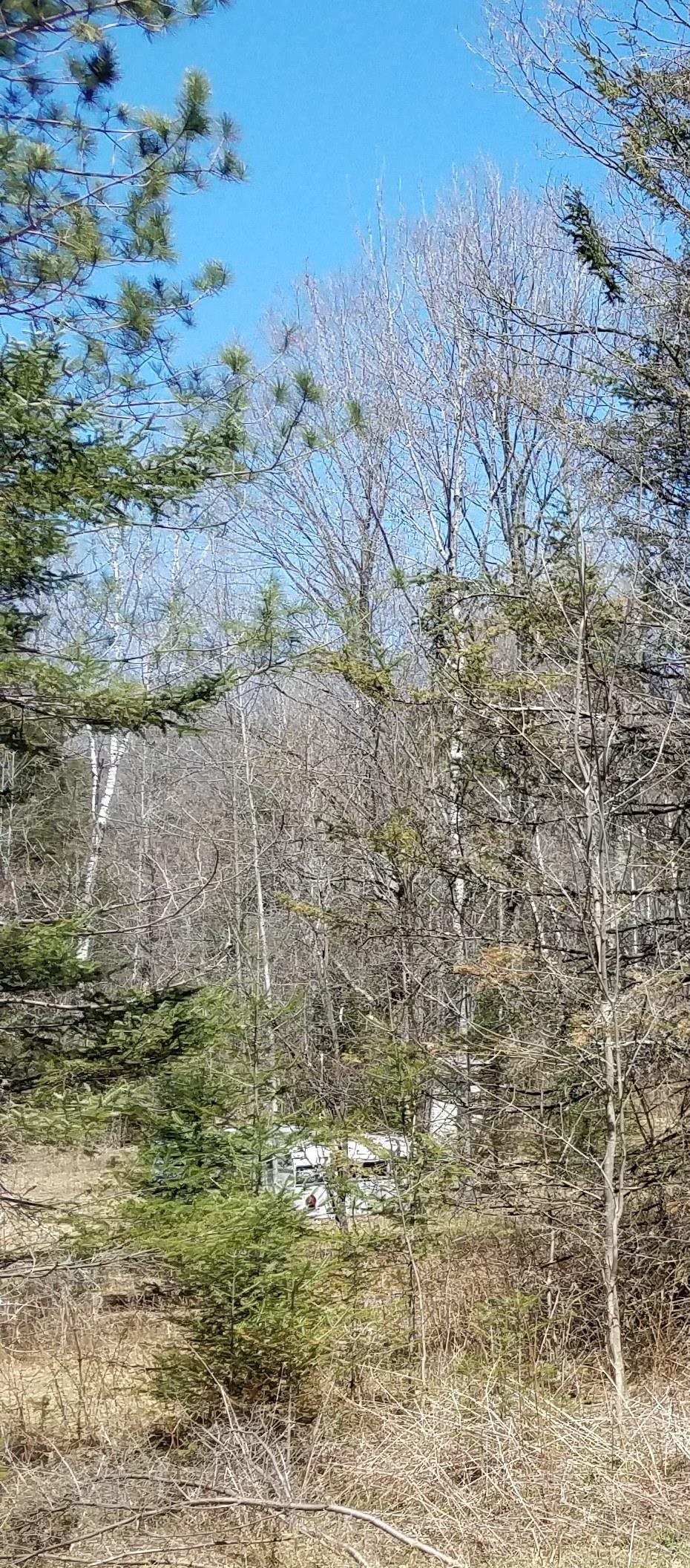 Badger Ranch Rd Valley White Lake, WI 54491 - Photo 1 of 1