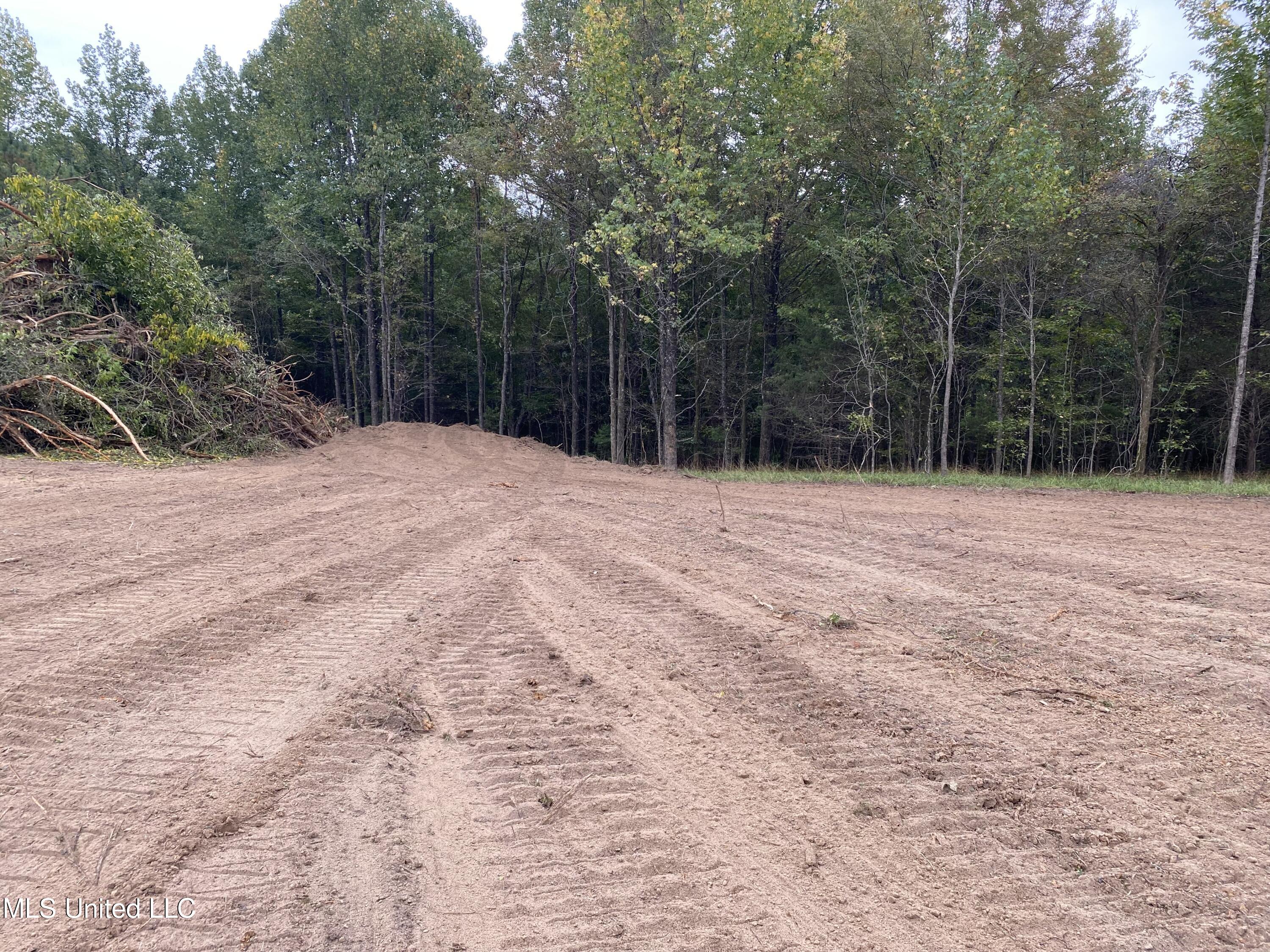 2 Moore Road Coldwater, MS 38618 - Photo 1 of 2 2023-09-24 14.07.49