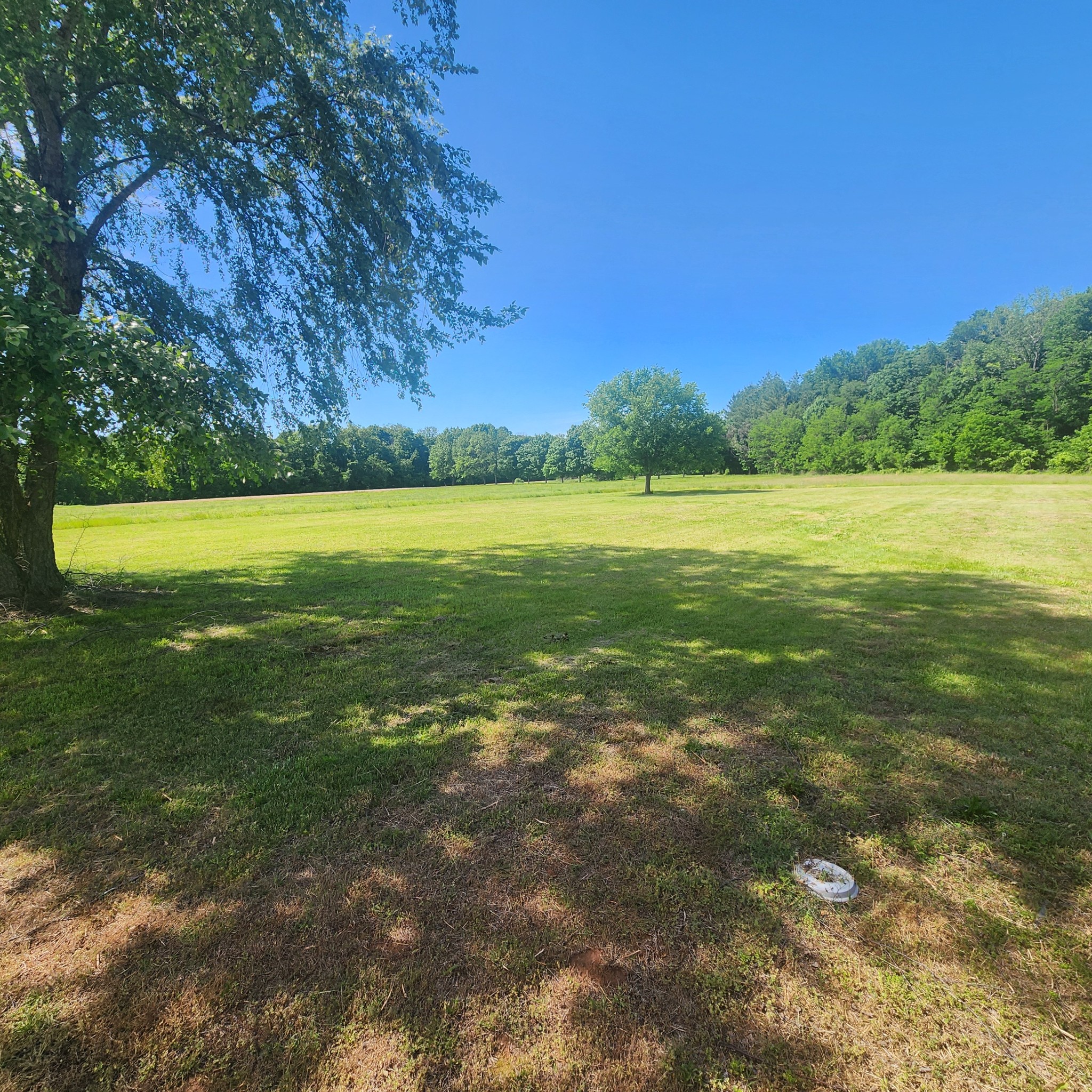4774 Boyd Holland Road Springfield, TN 37172 - Photo 8 of 22