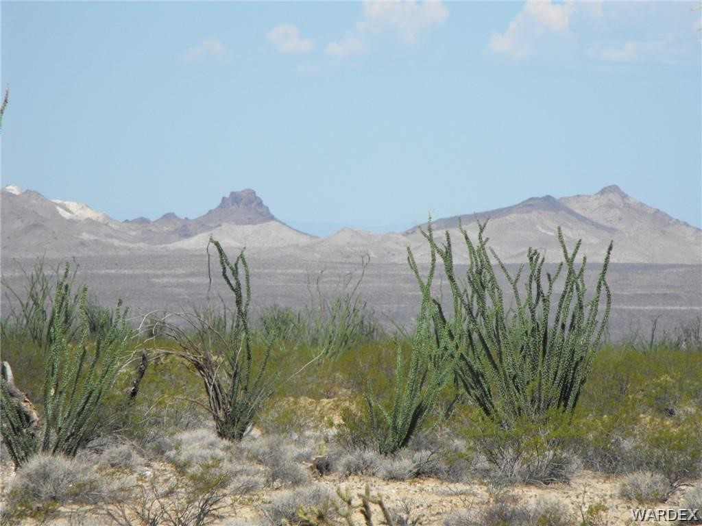 Gallery Image 6