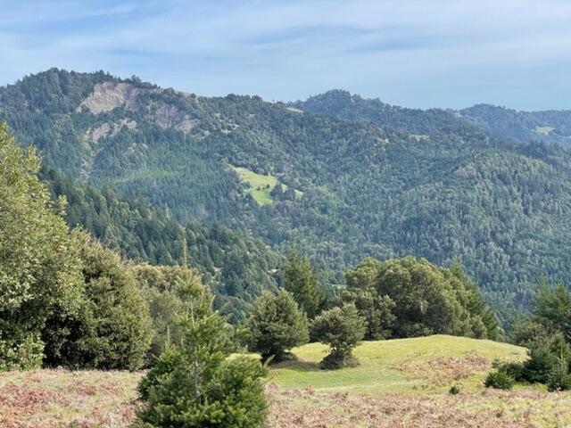 4001 Conklin Creek Road Ferndale, CA 95536 - Photo 28 of 125