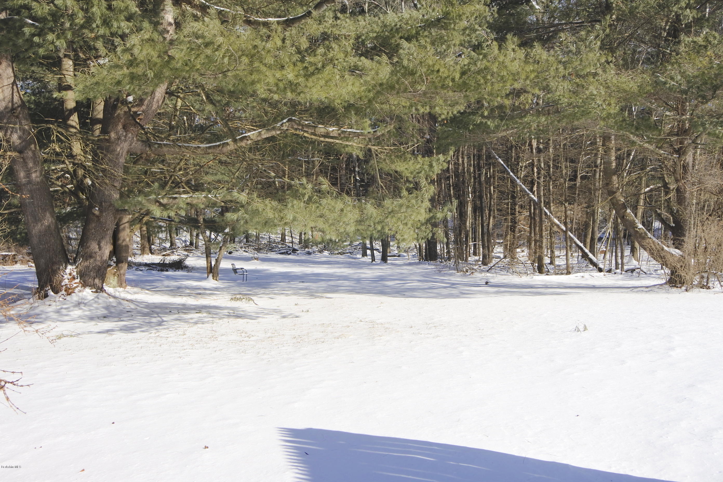 198 Partridge Road Pittsfield, MA 01201 - Photo 3 of 21 Winter back ack yard