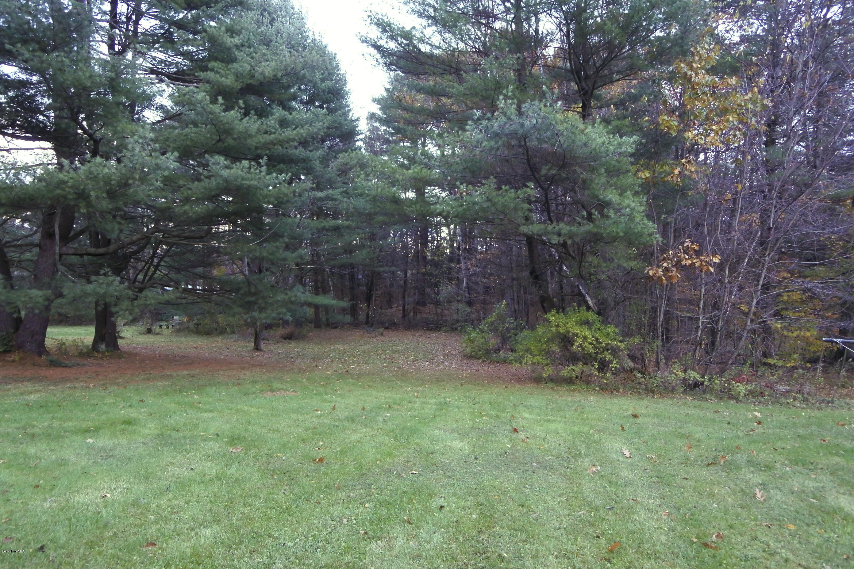 198 Partridge Road Pittsfield, MA 01201 - Photo 4 of 21 Sumer back yard