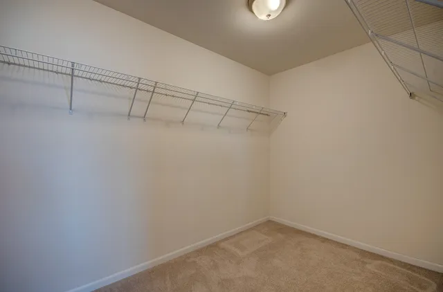 a view of a room with racks on the wall