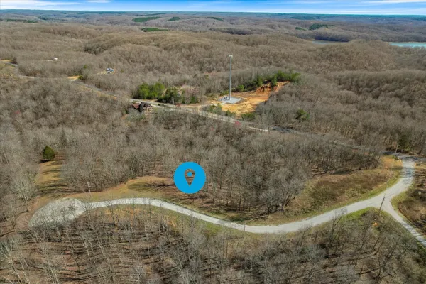 a view of a yard with trees