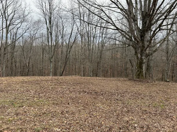 a view of backyard with green space