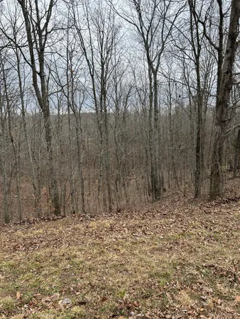 $29,900 | 0 Tug Drive, Waverly, TN 37185