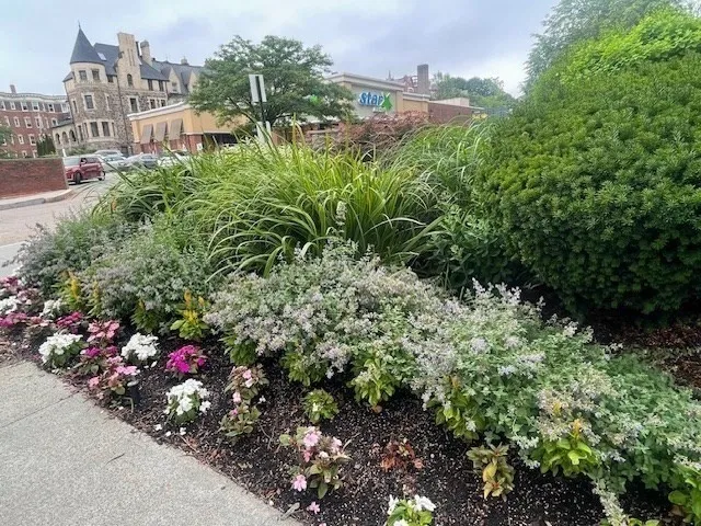 a view of a garden with a building in the background