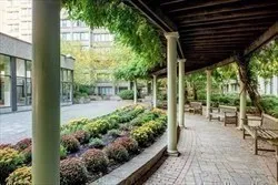 a view of outdoor space yard and patio