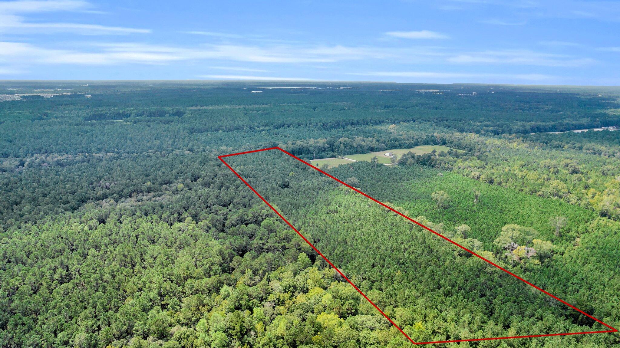 0 Sheep Island Road Summerville, SC 29486 - Photo 12 of 14 CREM - 0 W Vaco-12