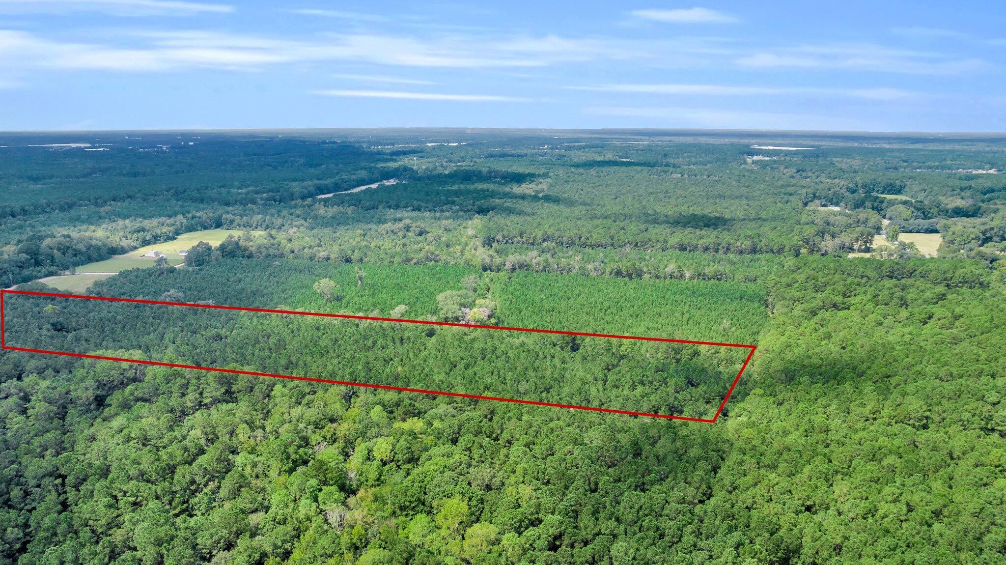 0 Sheep Island Road Summerville, SC 29486 - Photo 13 of 14 CREM - 0 W Vaco-13