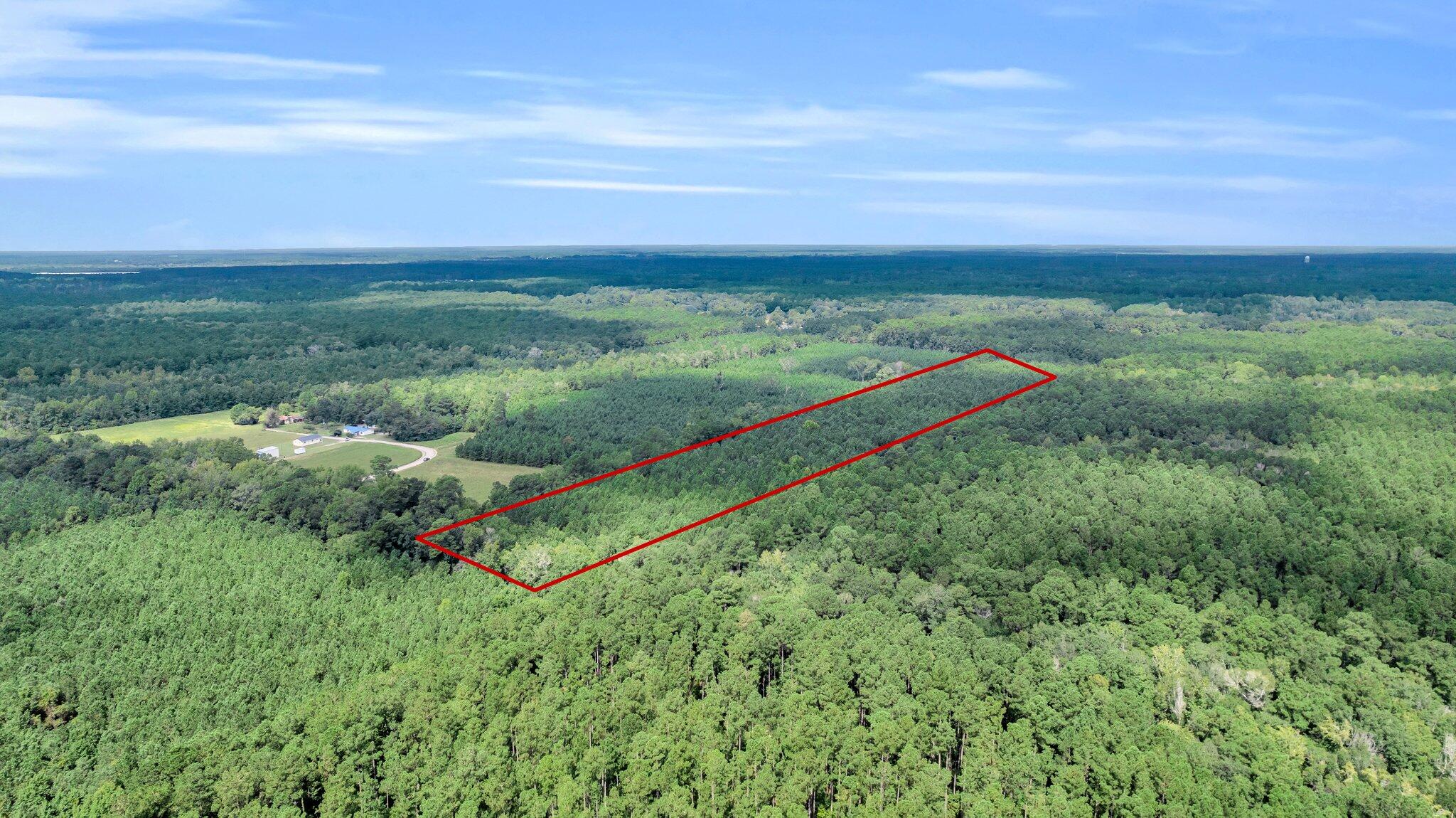 0 Sheep Island Road Summerville, SC 29486 - Photo 2 of 14 CREM - 0 W Vaco-2
