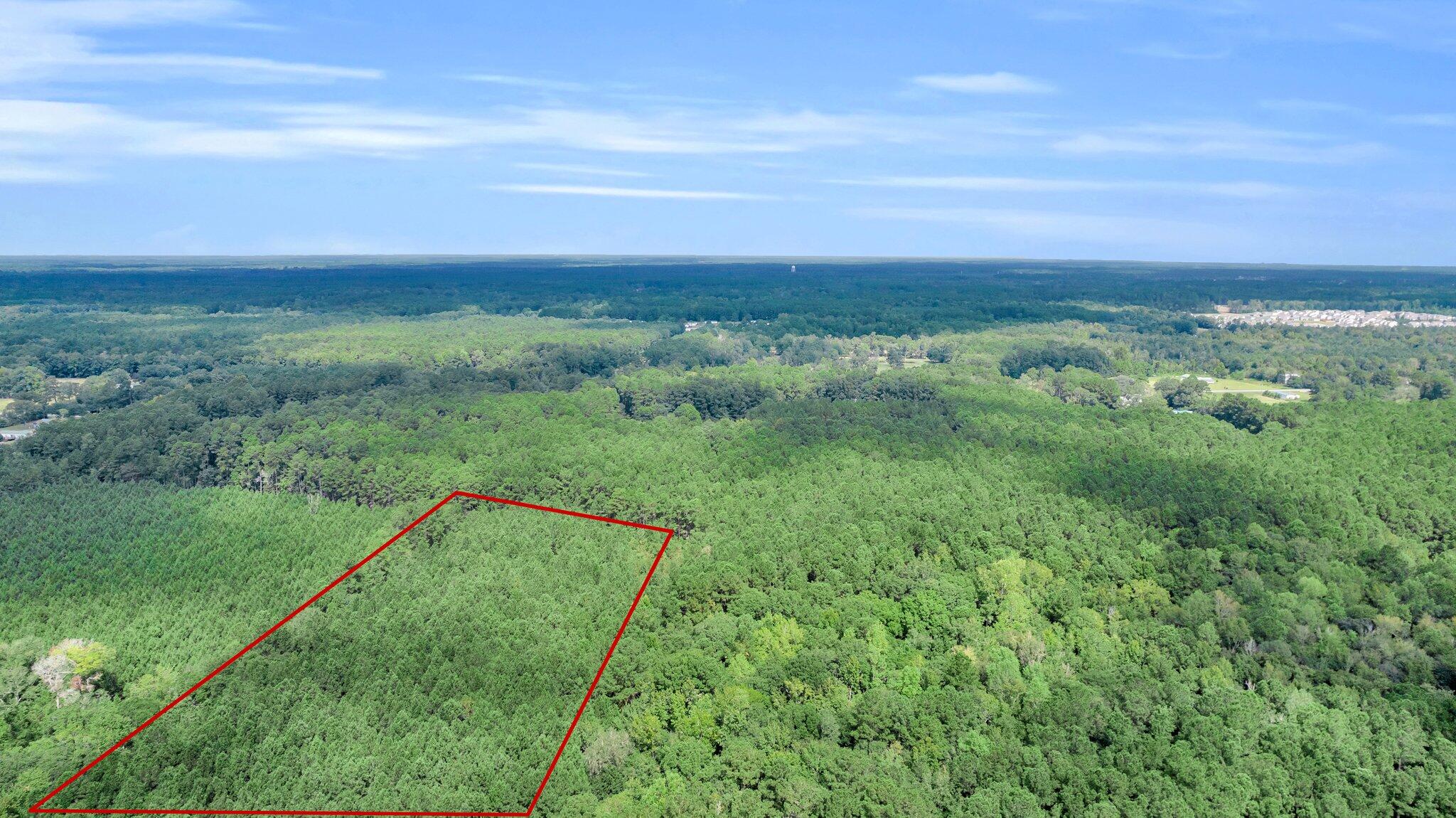 0 Sheep Island Road Summerville, SC 29486 - Photo 4 of 14 CREM - 0 W Vaco-4