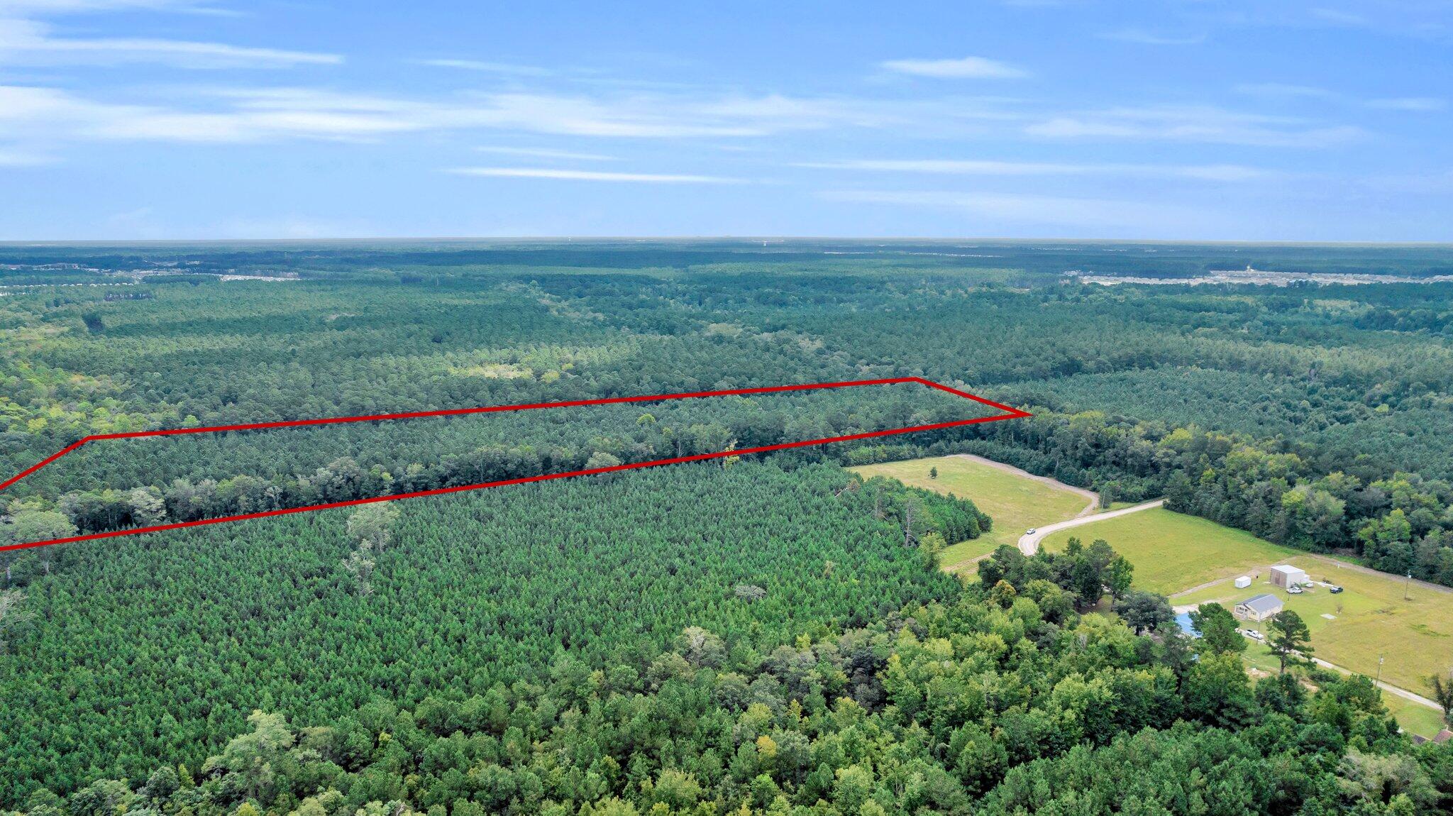 0 Sheep Island Road Summerville, SC 29486 - Photo 5 of 14 CREM - 0 W Vaco-5