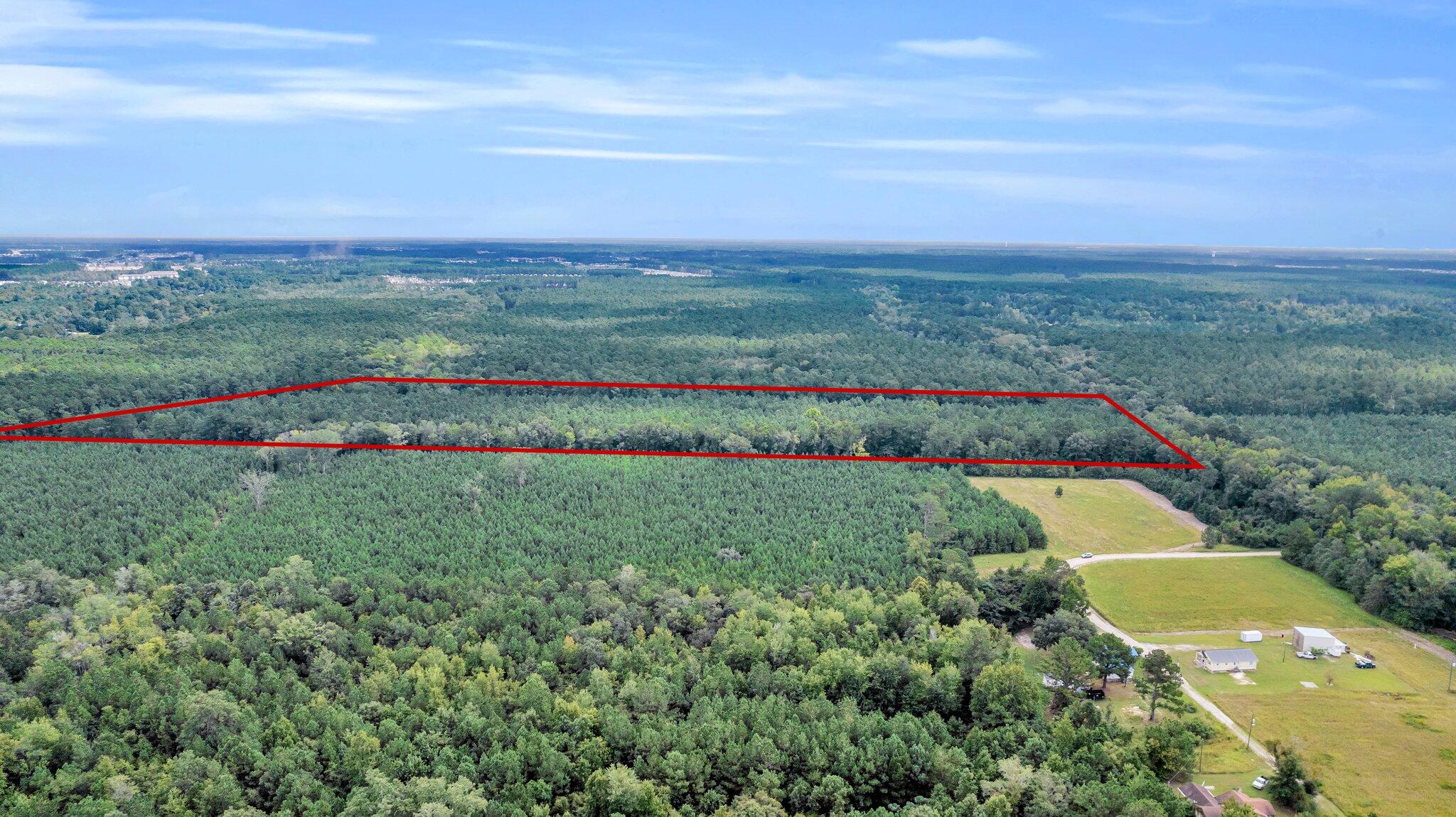 0 Sheep Island Road Summerville, SC 29486 - Photo 6 of 14 CREM - 0 W Vaco-6