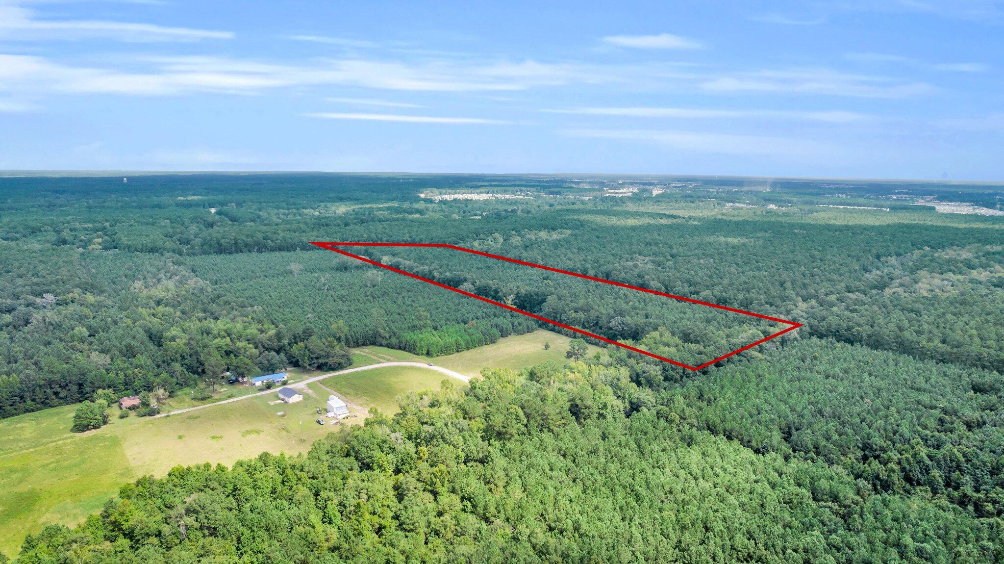0 Sheep Island Road Summerville, SC 29486 - Photo 7 of 14 CREM - 0 W Vaco-7