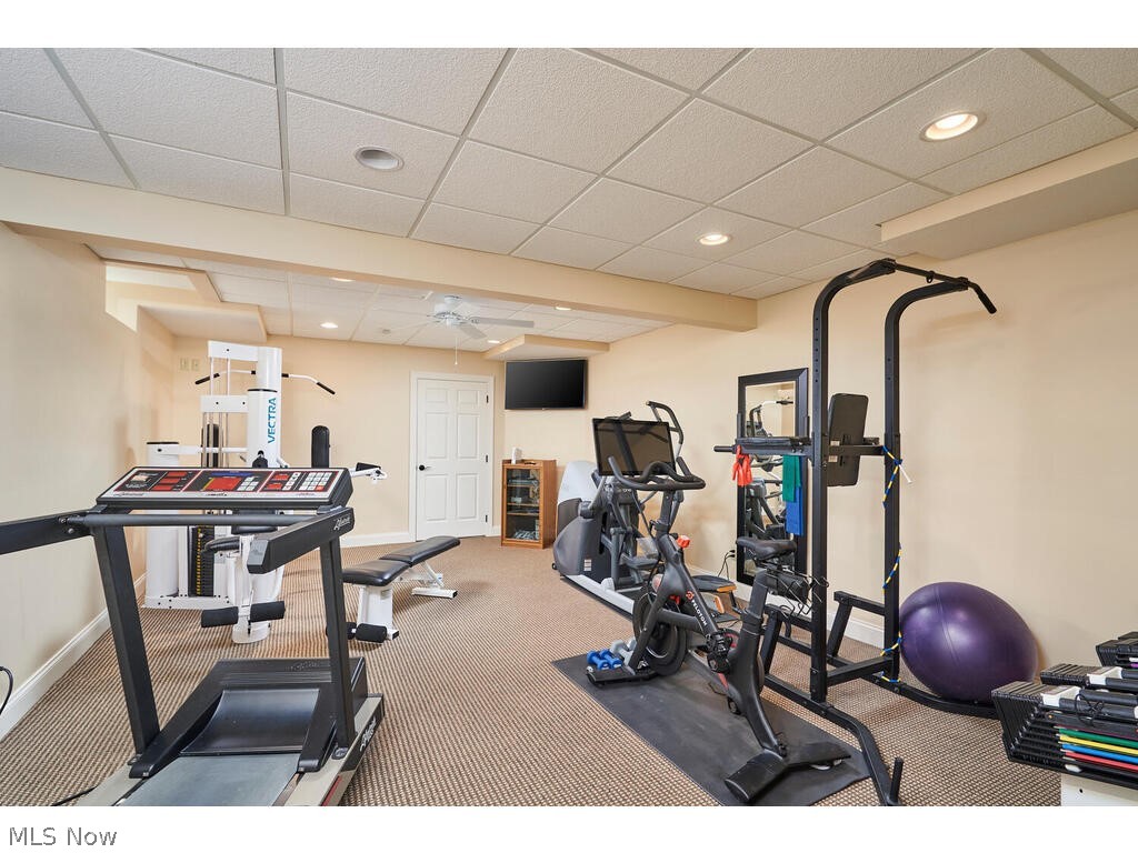 3735 Roberts Ridge Akron, OH 44333 - Photo 29 of 45 Lower Level
Workout area featuring carpet and a drop ceiling