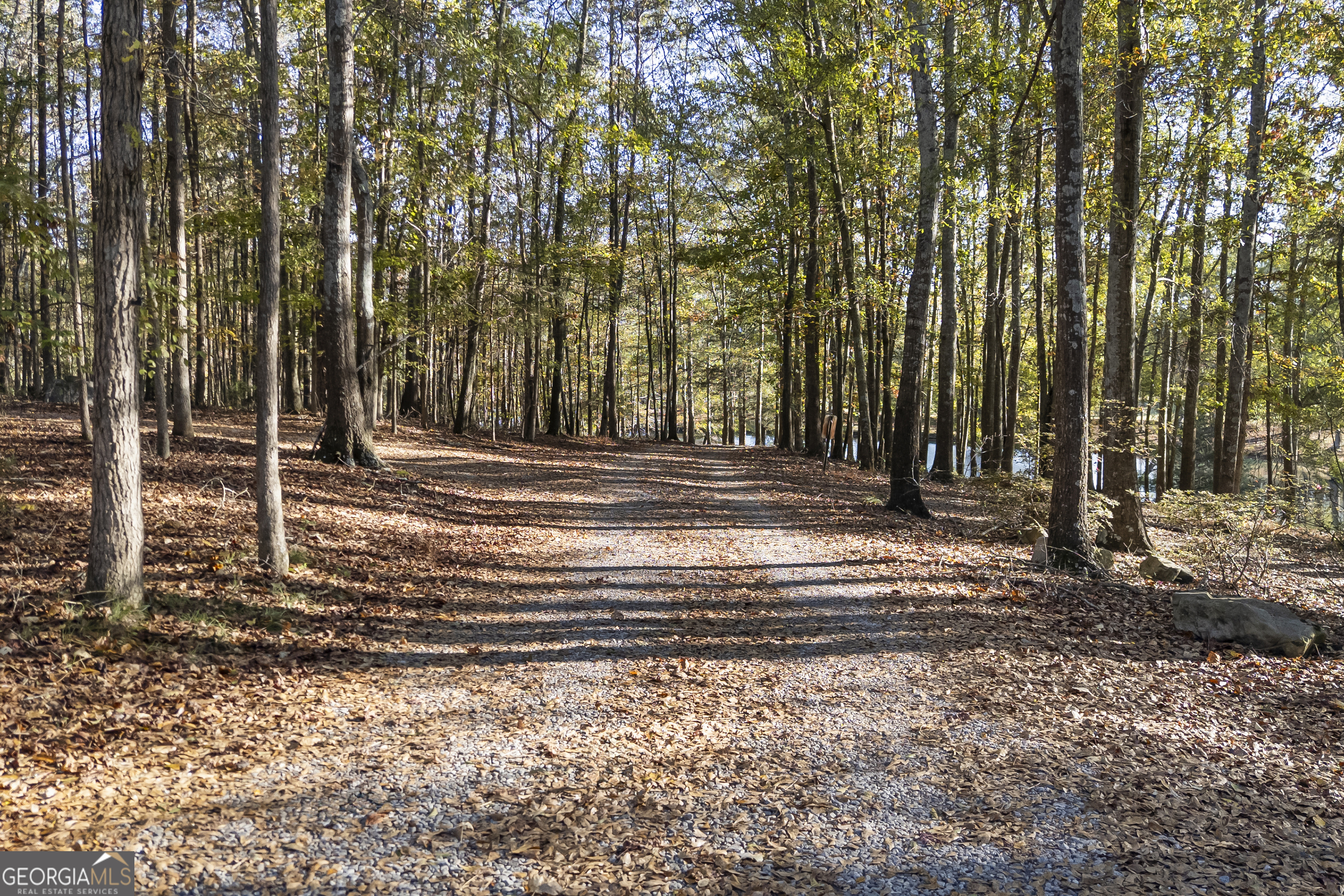 135 Canters Run Homer, GA 30547 - Photo 11 of 96