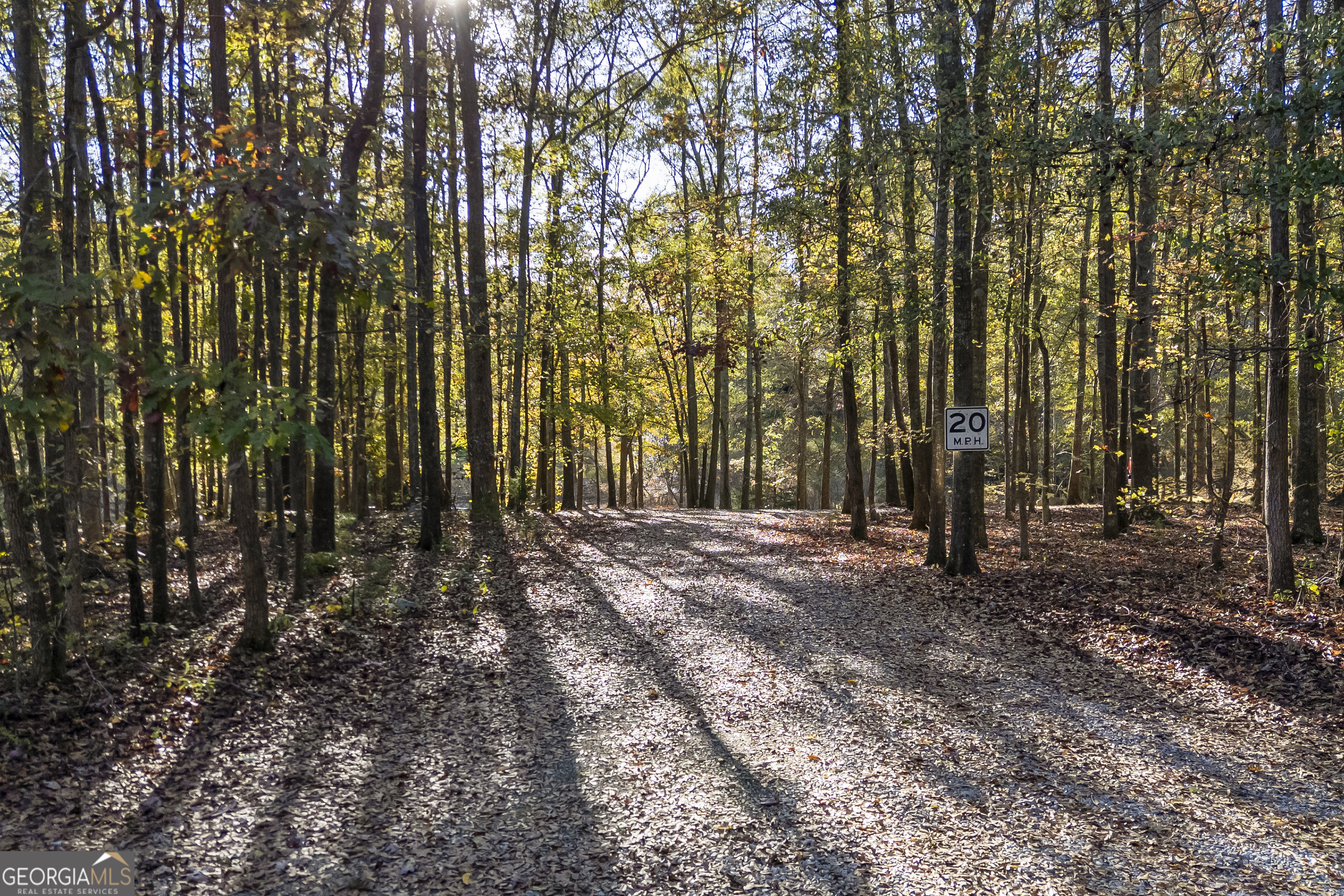 135 Canters Run Homer, GA 30547 - Photo 2 of 96