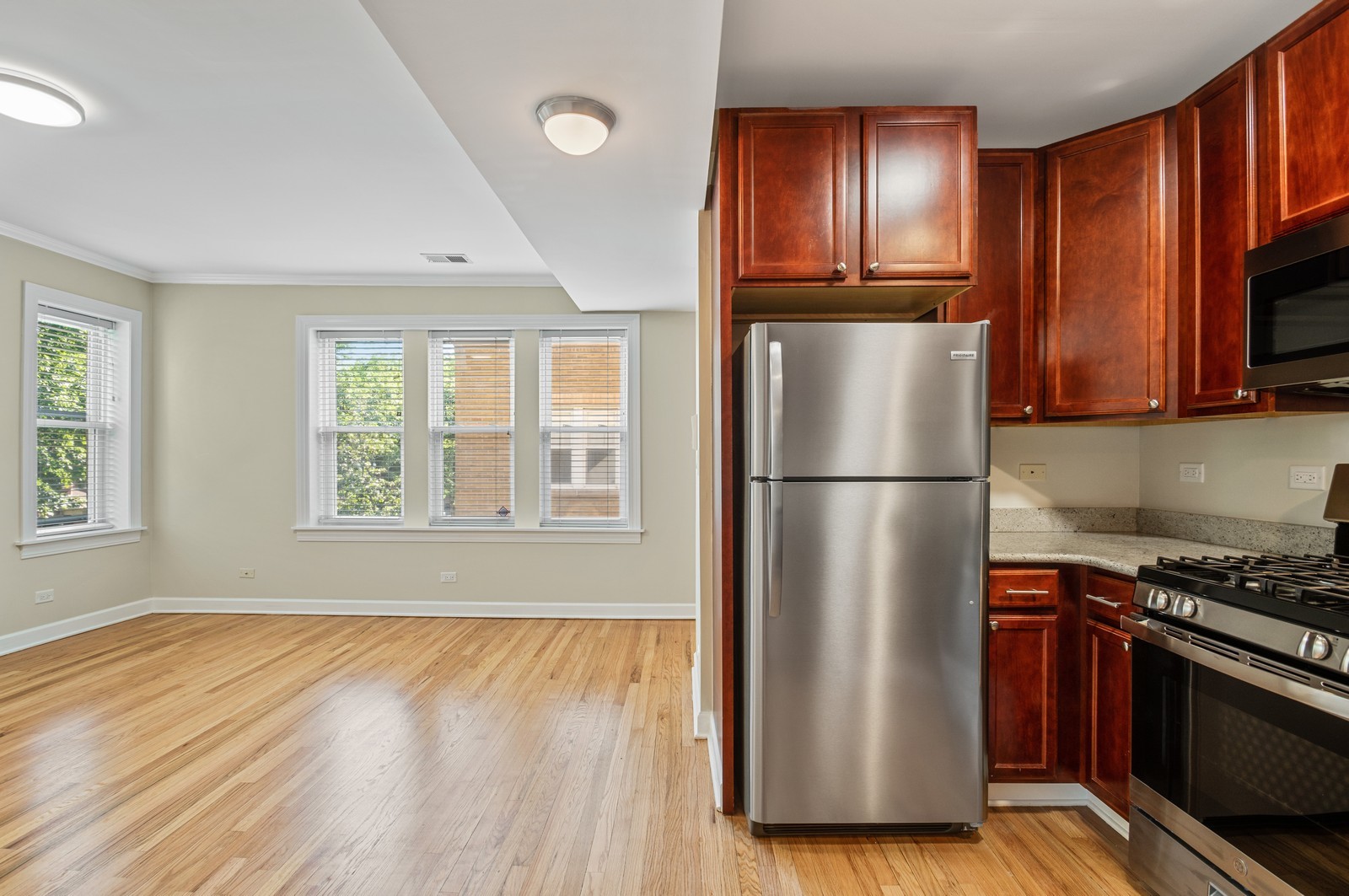 1432 West Roscoe Street, Unit 2 Chicago, IL 60657 - Photo 5 of 13