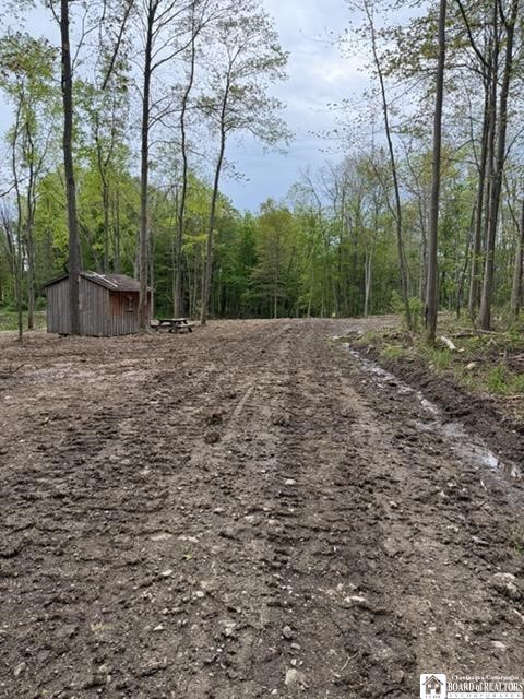 4371 Lawson Road Busti, NY 14701 - Photo 2 of 6