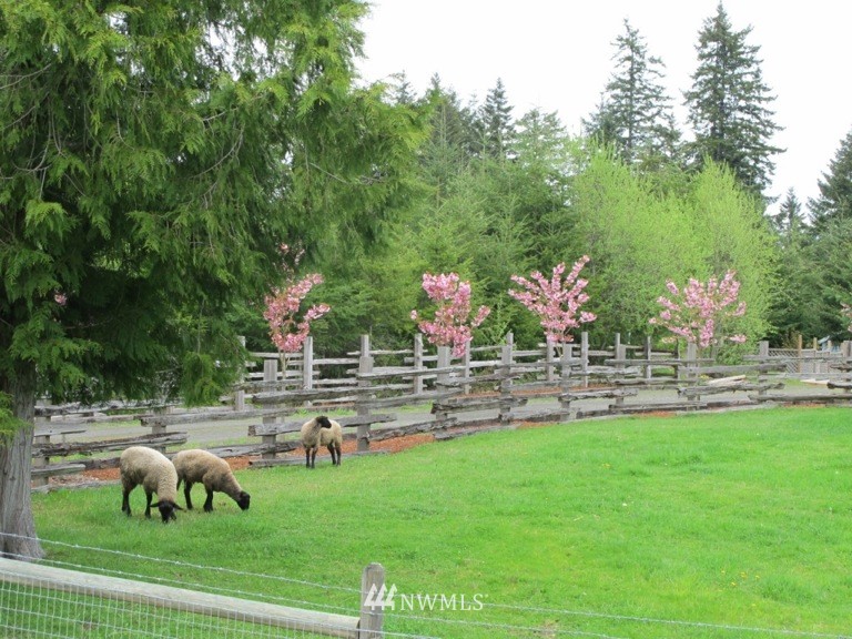 150 Southeast Phillips Road Shelton, WA 98584 - Photo 3 of 22 Gallery Image 3