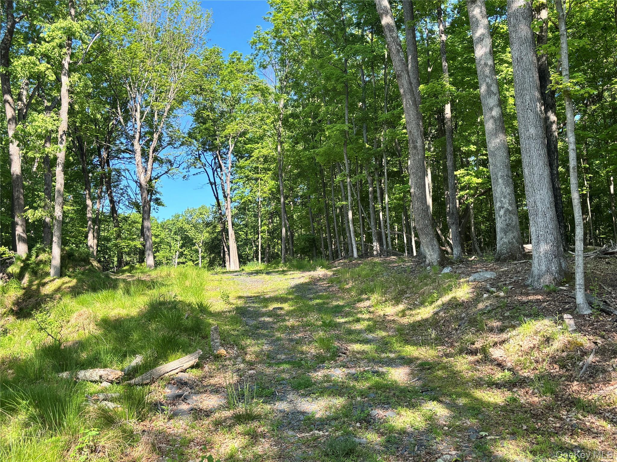 South Plank Road Westtown, NY 10998 - Photo 3 of 14