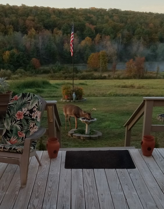 1290 Ayres Road Gillett, PA 16925 - Photo 30 of 50